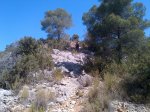 Castalla-20120616-00058.jpg