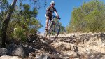 guillem_800x453.jpg