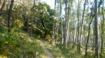 DSCN5985.jpg