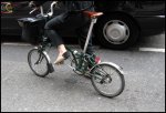 Cicle 1 Mnplg.jpg