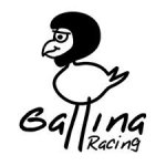 gallina.jpg
