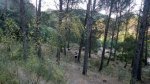 DSCN5979.jpg