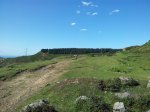 20120615_180819_1024x768.jpg