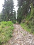 20120617_103619_768x1024.jpg
