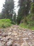 20120617_103613_768x1024.jpg