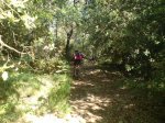 DSC08483.JPG