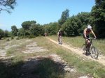 DSC08532.JPG