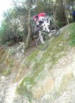 P1040958 - copia.JPG
