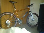 dsc0214uz.jpg