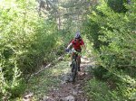 IMG_7263 Red..JPG