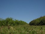 IMG_3667.JPG