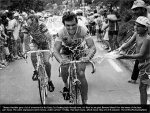 suisse12st08-hinault.jpg
