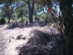 DSCF2012.jpg