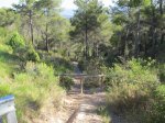 IMG_2937 (Copiar).JPG