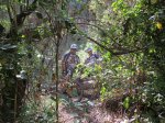 IMG_2947 (Copiar).JPG