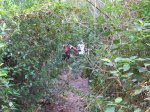 IMG_2949 (Copiar).JPG