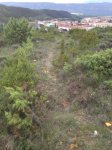 IMG_0315.JPG