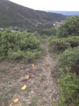IMG_0320.JPG