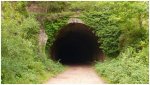 t&#250;nel.jpg