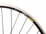 30786_6_Vortrieb_XTT780+XM317+DTCompLaufrad_LaufradsatzModel.jpg