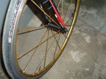 DSC00518.JPG