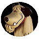 41901emoticono931483anime.gif