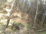 uploadfromtaptalk1340274066079.jpg