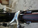 DSC01556.JPG