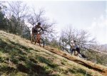 camareta 26-05-01.3.jpg