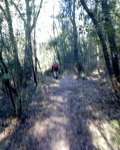 DSC00322.jpg