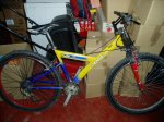 bike 005.jpg