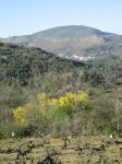 Imagen 022.jpg