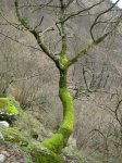 IMG_0331.jpg