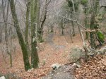 IMG_0333.jpg
