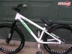 pbpic1223981.jpg