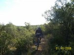 100_1811.JPG