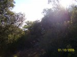 100_1802.JPG