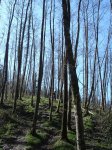 DSC05517.JPG