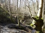 DSC05522.JPG