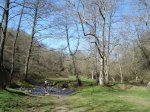 DSC05527.JPG