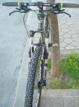 li.GIF