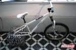 pbpic1208869.jpg