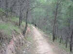 DSC03079.jpg