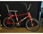 bicicroos2.jpg