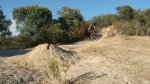 DSC06090.JPG