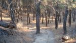 DSC06094.JPG