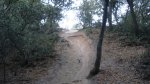 DSC06106.JPG