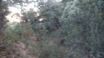 DSC06111.JPG