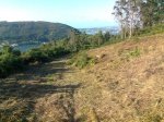 Foto0425.jpg