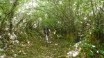 DSCN6231.jpg